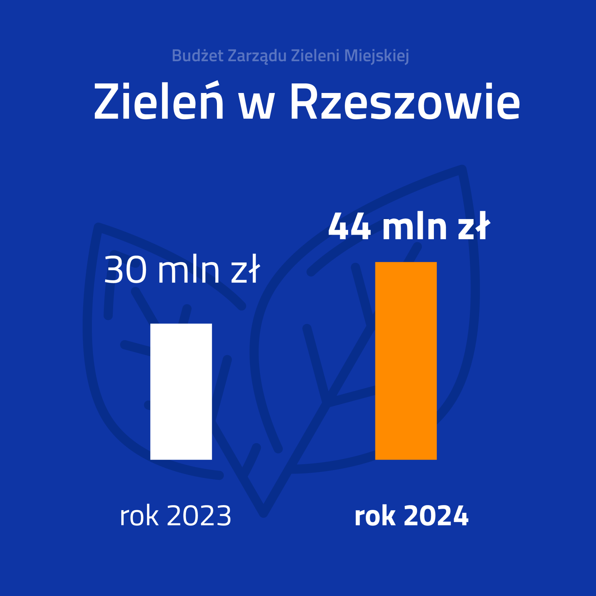 Bużet Zarządu Zieleni Miejskiej - grafika