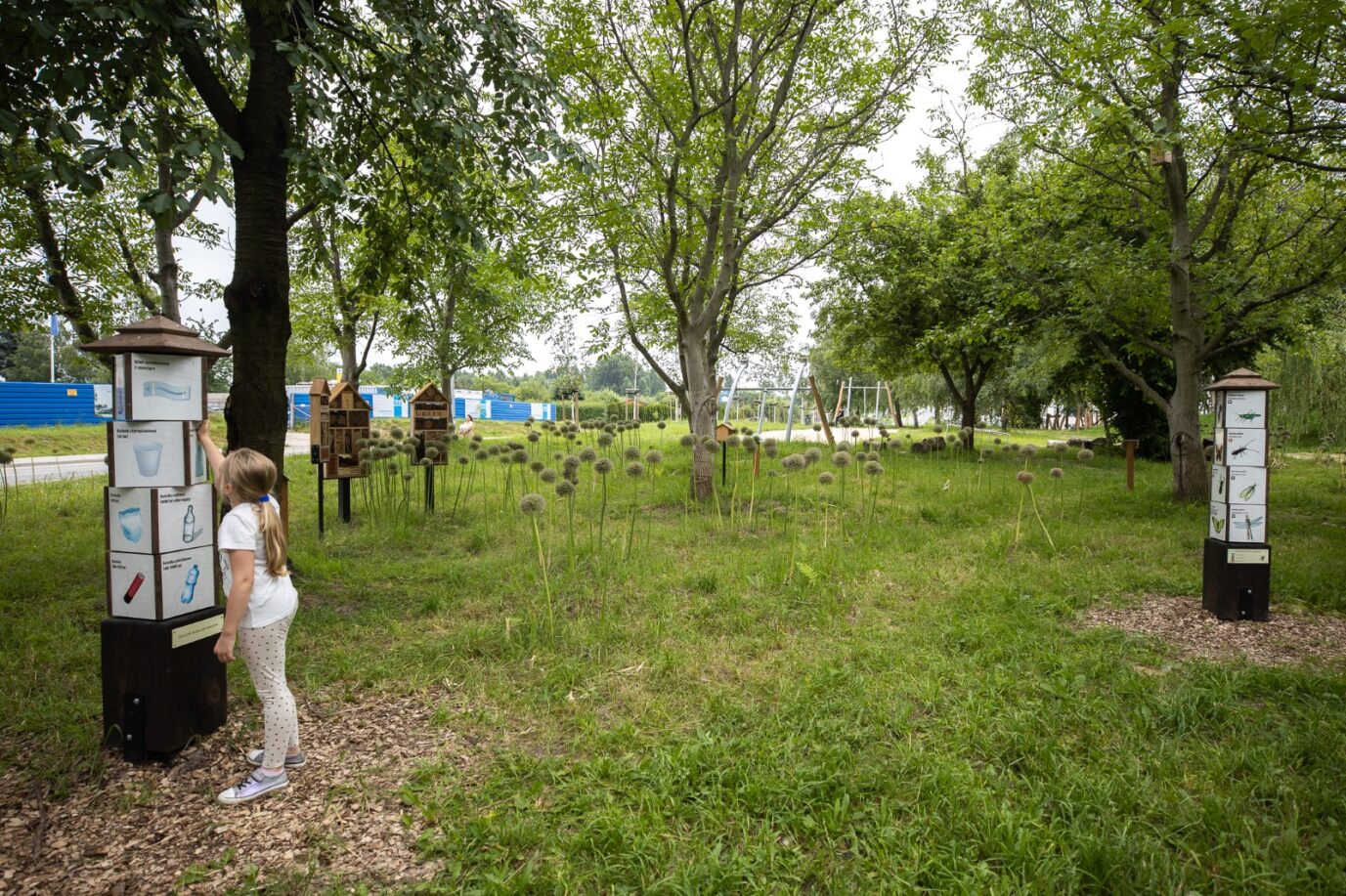 Park przy ul. Błogosławionej Karoliny, fot. Grzegorz Bukała / Urząd Miasta Rzeszowa