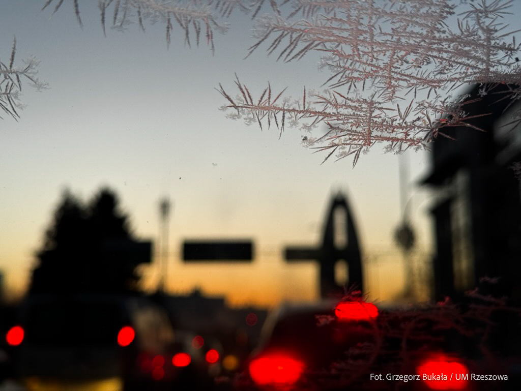 Zdjecie do artykułu Gdzie szukać pomocy?