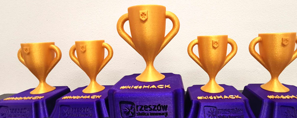 Puchary dla zwycięzc&oacute;w