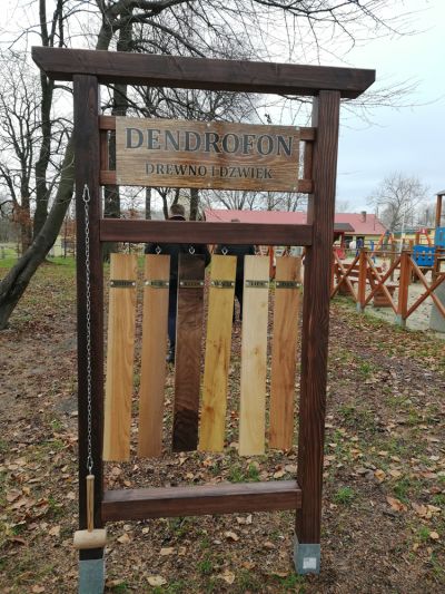 Dendrofon, czyli grające drzewo