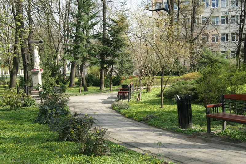 Zachowana część zespołu dworsko-parkowego w Staromieściu
