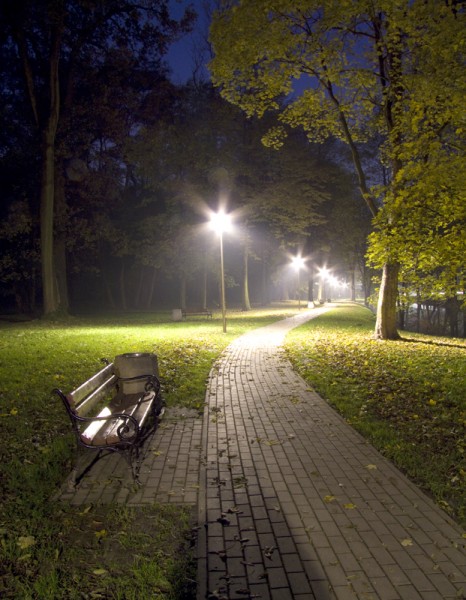 Park w Słocinie, stan obecny. Fot. Bogdan Szczupaj