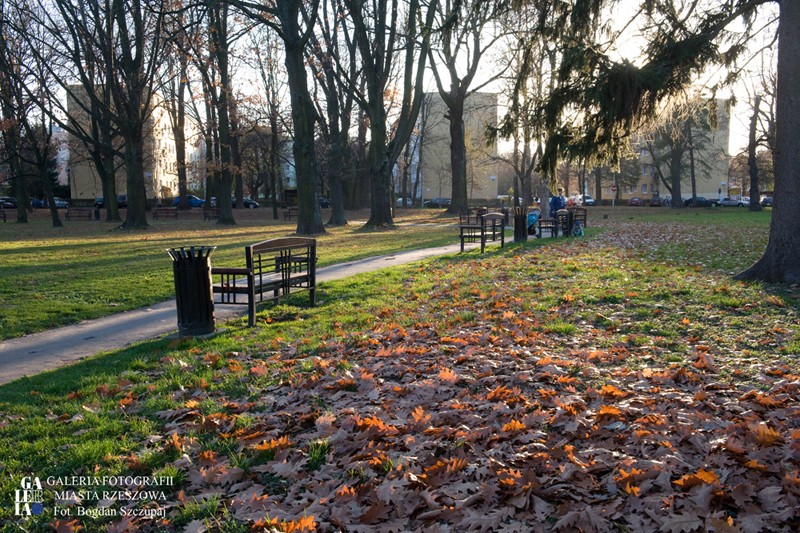 I część zrealizowanej rewitalizacji parku przy ul. Rycerskiej (2018 r.)