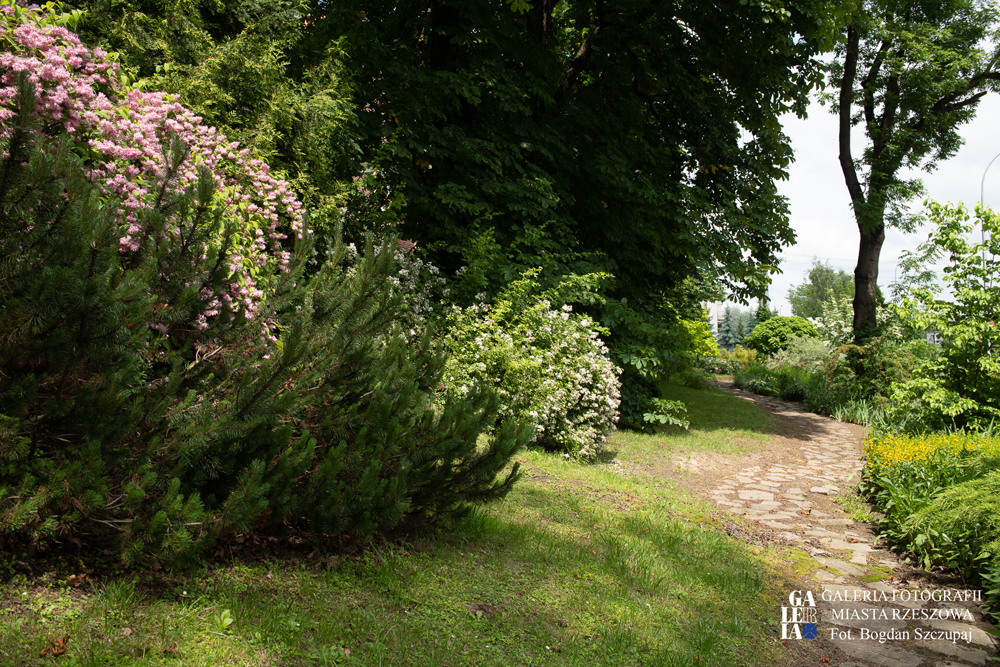 Park w Miłocinie