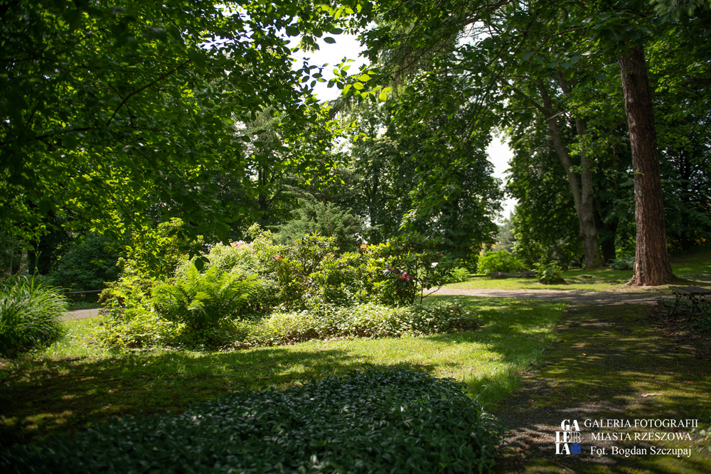 Park w Miłocinie