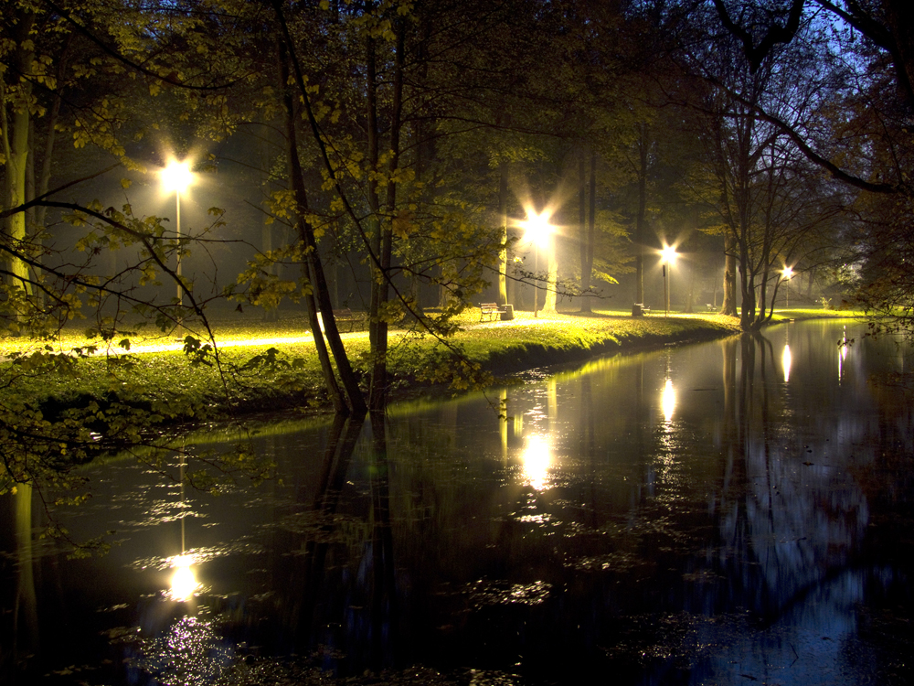 Park w zespole dworsko-parkowym w Słocinie, fot. B. Szczupaj