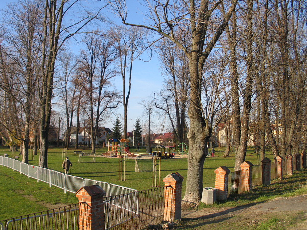 Park w Zalesiu