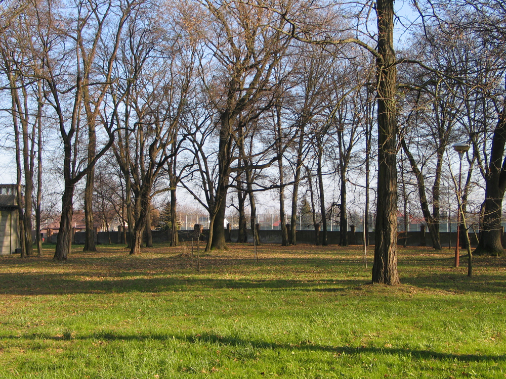 Park w Załężu