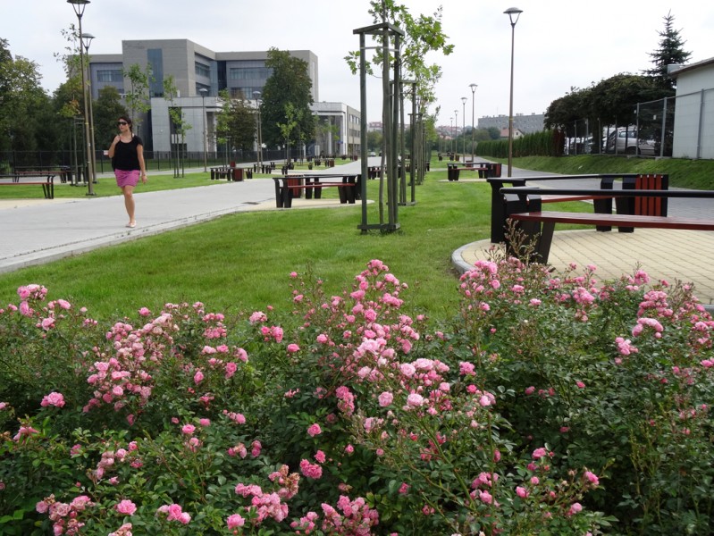 Zdjecie do artykułu Wybudowano plac Allerhanda