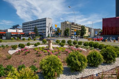 Zdjecie do artykułu Rekordowe nasadzenia w Rzeszowie