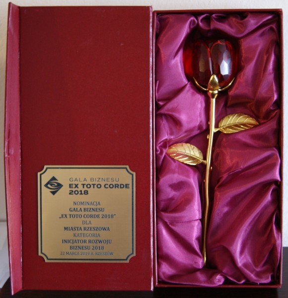 Podkarpacka Nagroda Startup&oacute;w 2018 w kategorii Inicjator rozwoju biznesu 2018 dla Rzeszowa