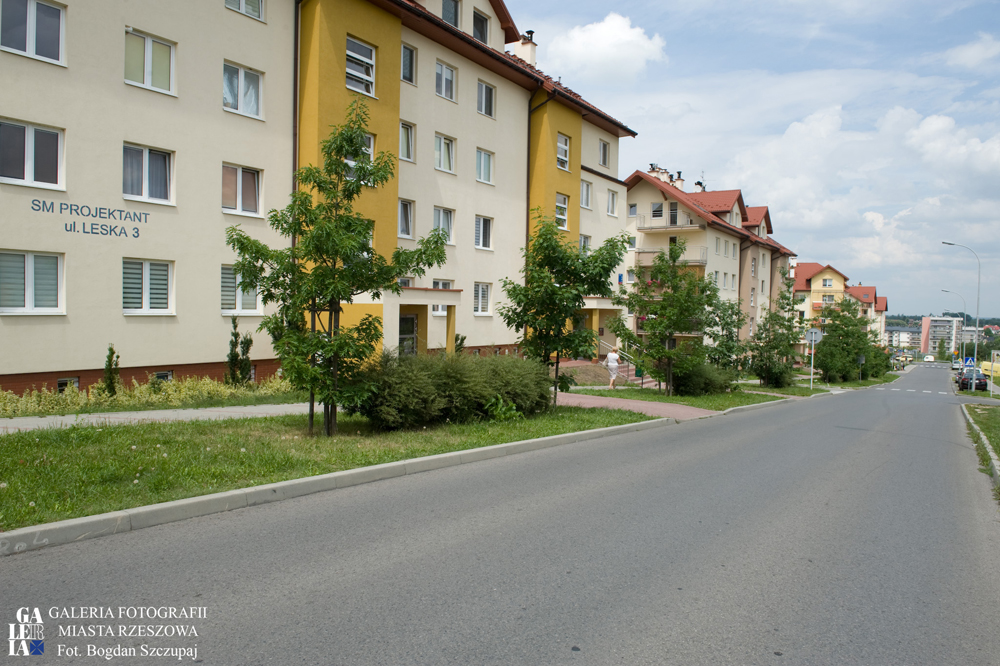 Ul. Leska