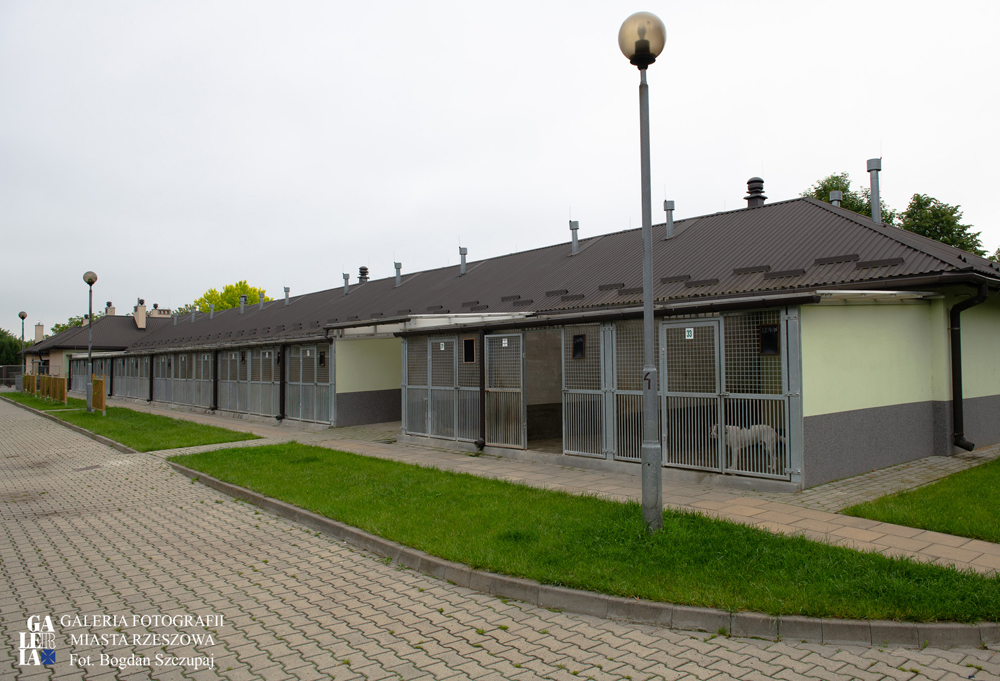 Miejskie Schronisko dla Bezdomnych Zwierząt &bdquo;Kundelek&rdquo;