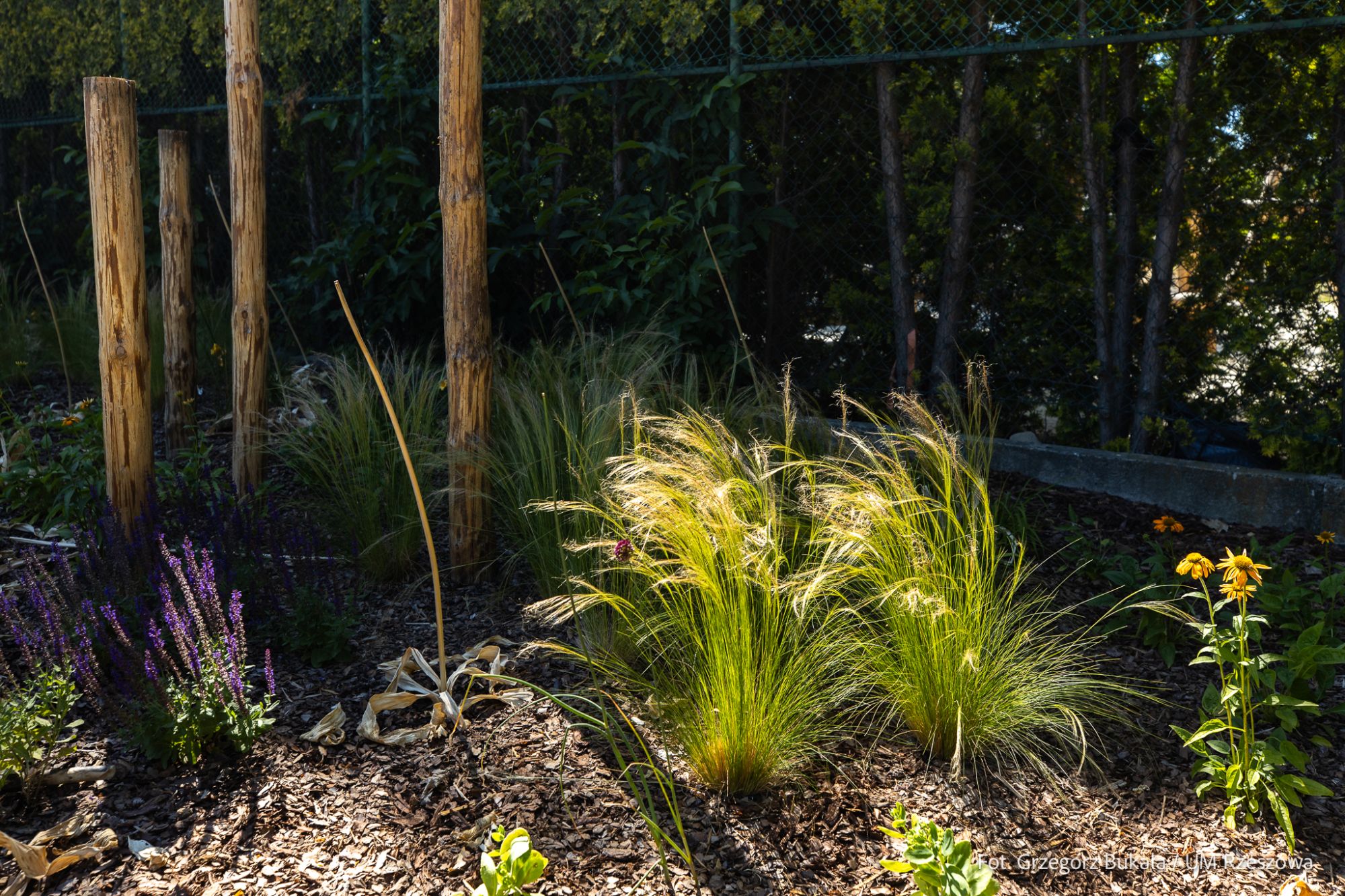 zdjęcie z nowego placu zabaw w rzeszowskim Parku Sybirak&oacute;w, fot. Grzegorz Bukała, Urząd Miasta Rzeszowa