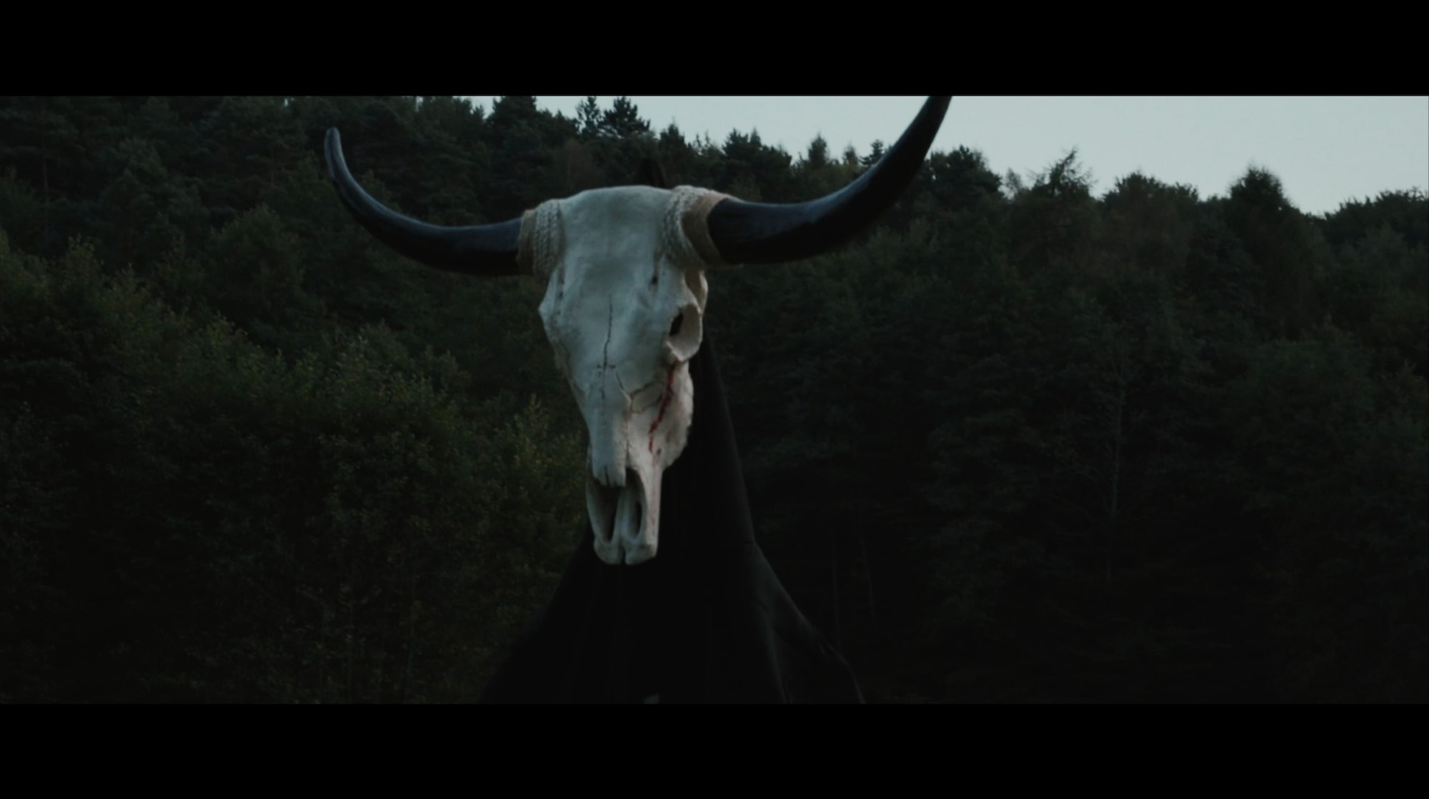 Kadry z filmu: No stars anymore