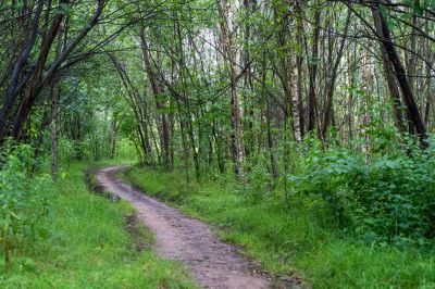 zdjęcie z  teren&oacute;w wschodniej części Rzeszowa - wzg&oacute;rza Zalesia,fot. Adam Lampart, Urząd Miasta Rzeszowa