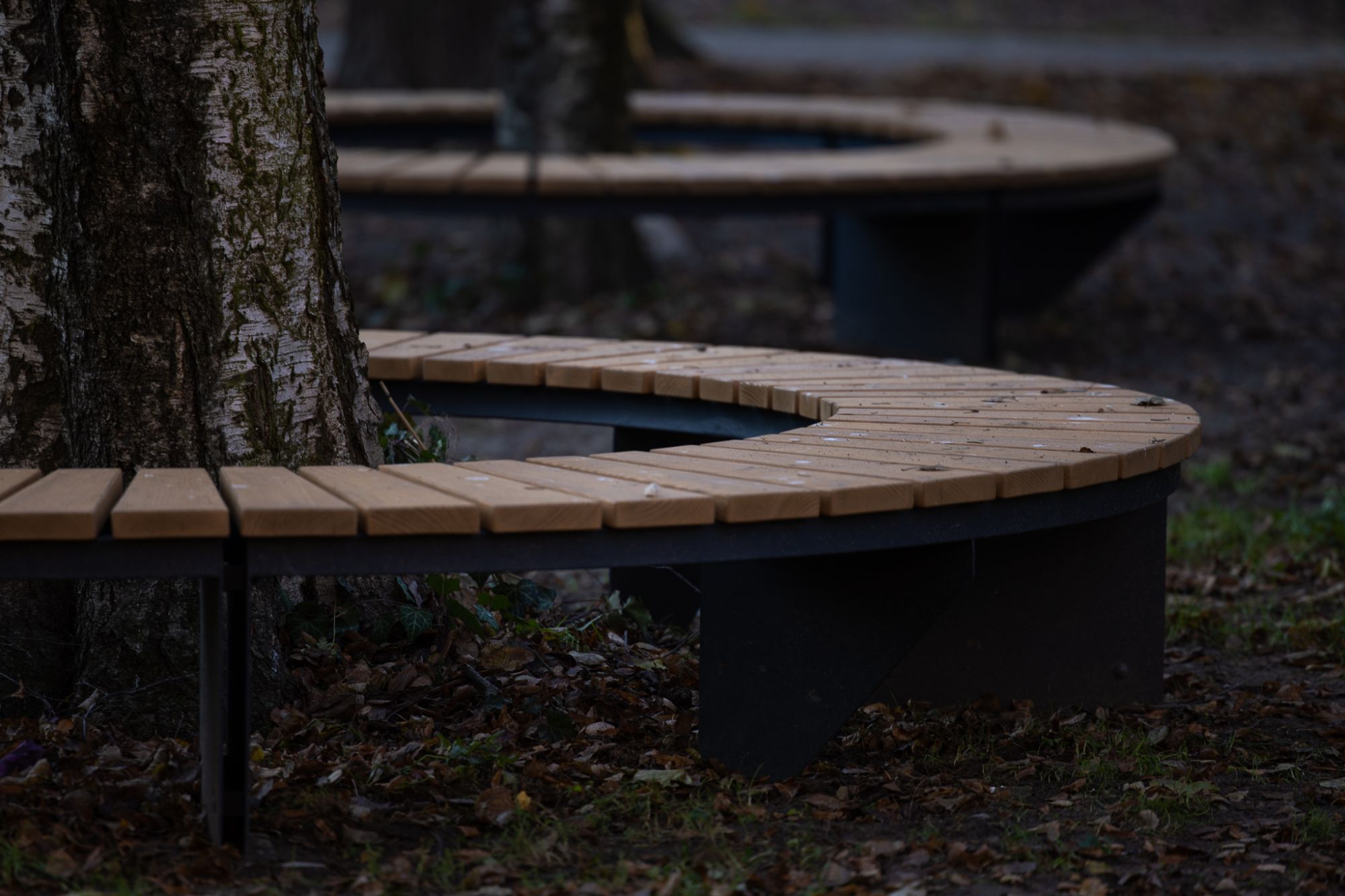 Mini-park przy ul. Staszica, fot. Grzegorz Bukała / Urząd Miasta Rzeszowa